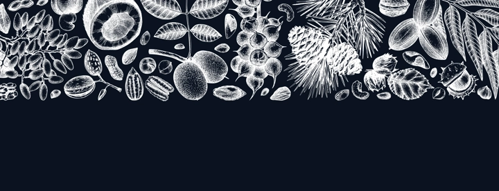 Vector nuts banner on chalkboard. Vintage nuts background in sketched style. Healthy food ingredients template with botanical illustrations. Realistic branches, plants, fruits, nutshells sketches.